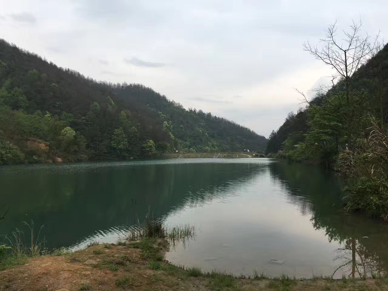 10020s000000hwig48106