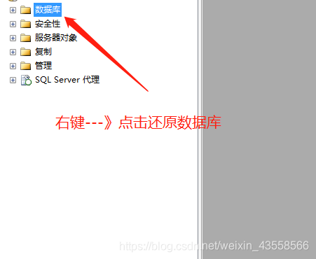 启动还原数据库向导