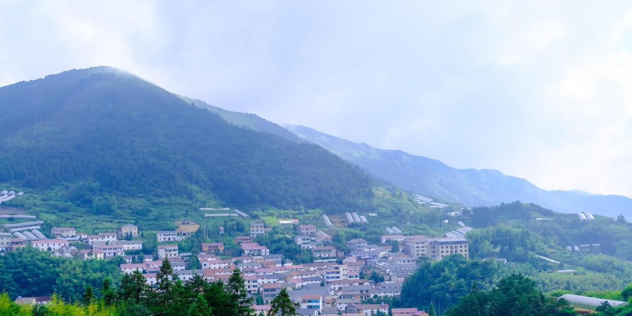 v2-ca0758f92339a1ce1da23125a9888203_1200x500